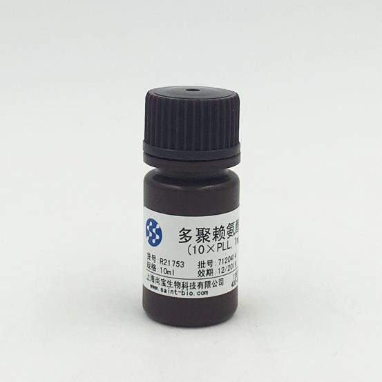 多聚賴氨酸溶液（10×PLL，1mg/ml）