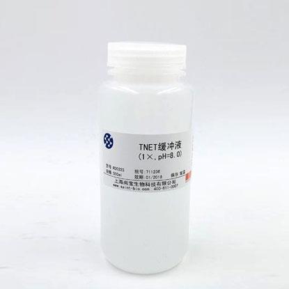 Tris鎂鹽緩沖液（1×，pH=7.8）